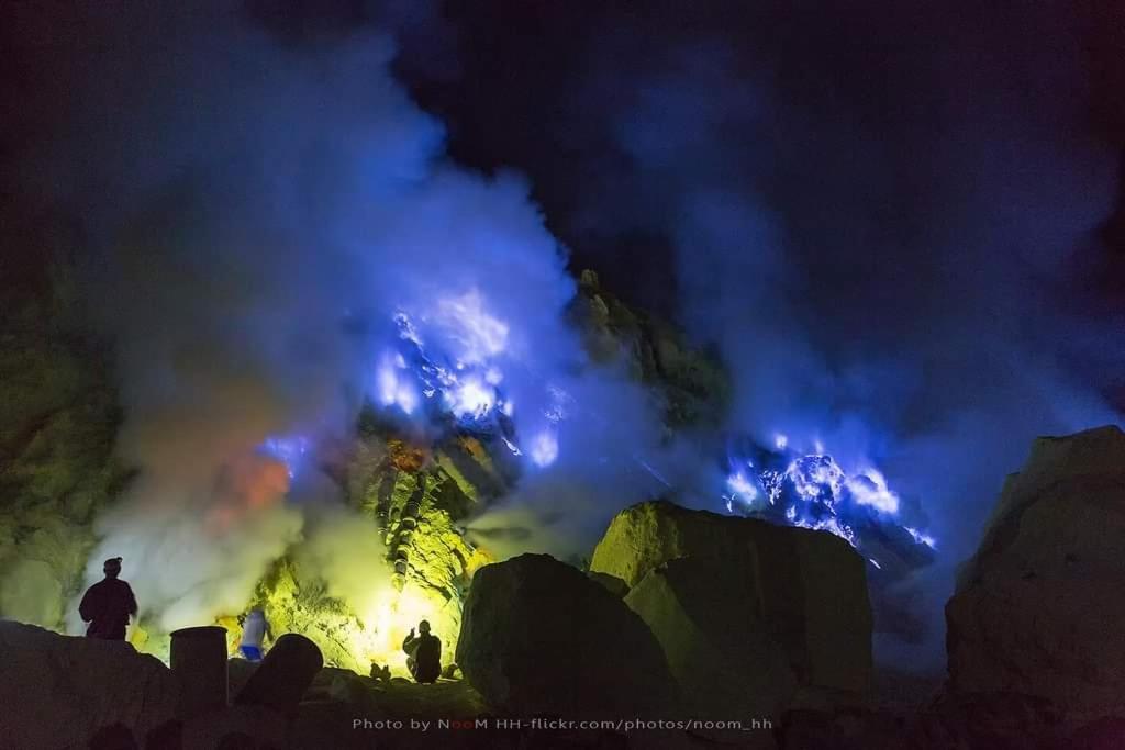 Dannu'S Homestay Ijen And Bromo Tour Banyuwangi  Zewnętrze zdjęcie
