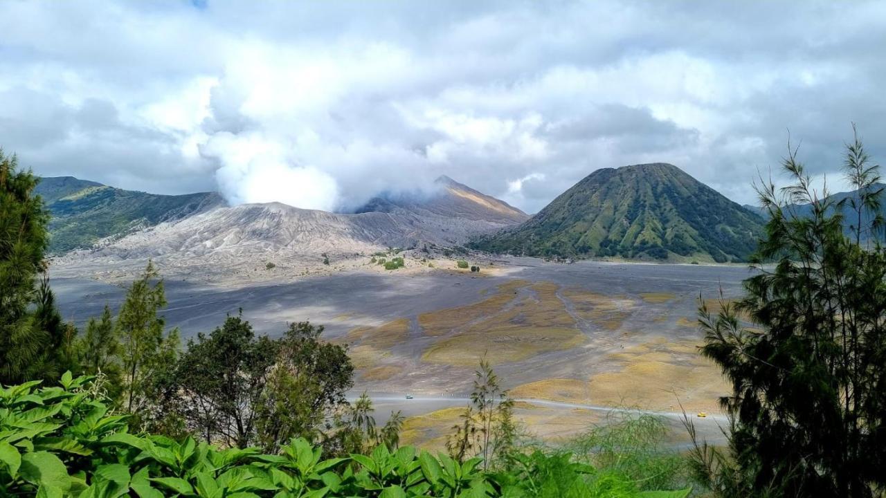 Dannu'S Homestay Ijen And Bromo Tour Banyuwangi  Zewnętrze zdjęcie