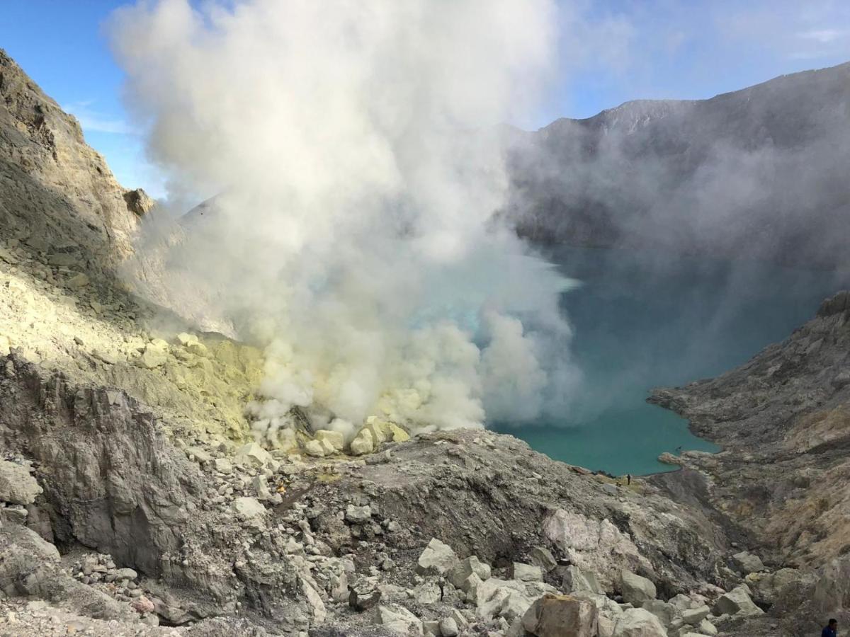 Dannu'S Homestay Ijen And Bromo Tour Banyuwangi  Zewnętrze zdjęcie